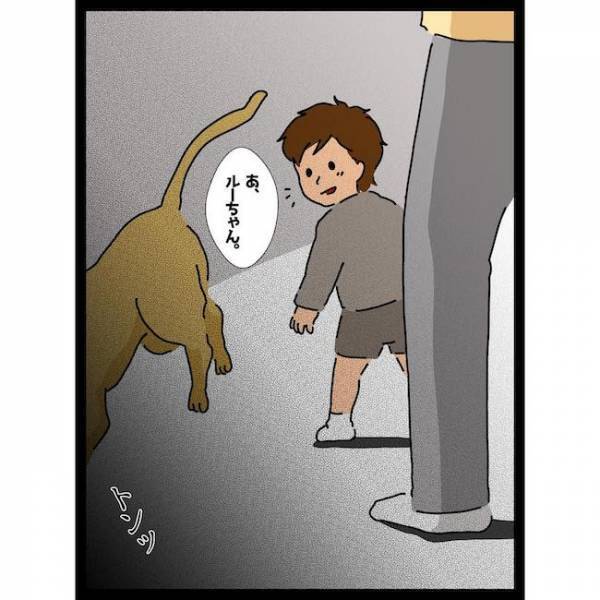 「…え？」子どもの顔見せに義母宅へ。子どもが怪我をすると驚愕の発言を＜義母の猫が招いたトラブル＞