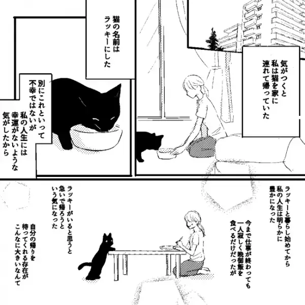 「もしかして捨てられてた？」黒猫を飼い始めた女性。翌日から不思議なことが続き＜願いを叶える黒猫＞