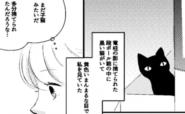 「もしかして捨てられてた？」黒猫を飼い始めた女性。翌日から不思議なことが続き＜願いを叶える黒猫＞