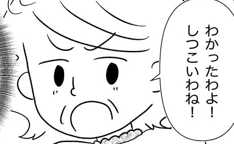 「しつこいわね！」は？嫁の服がどうしても欲しい義母。貰えないとわかると逆ギレし＜義母が嫌い＞