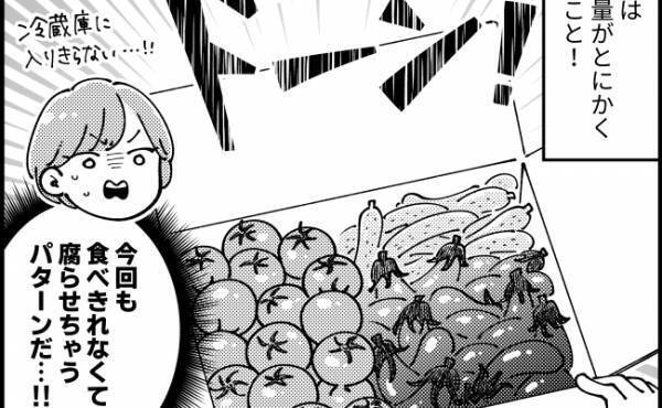 「ゲッ…また大量」義両親の贈り物はありがた迷惑？！⇒断らずにムダにしないある方法とは？