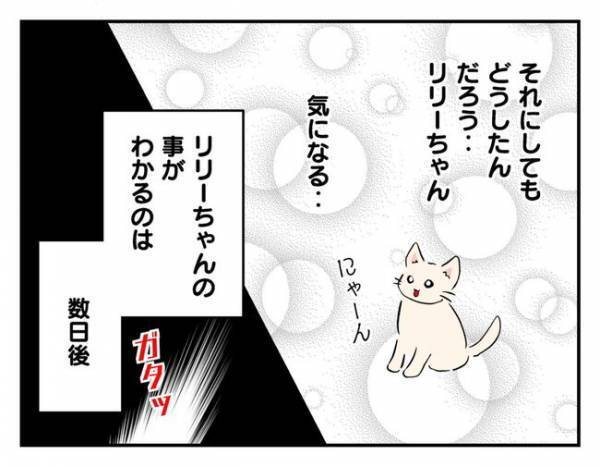 「物音がする…」窓の外に突然の来訪者！？変わり果てた姿にびっくり ＜猫を押し付けるママ友＞