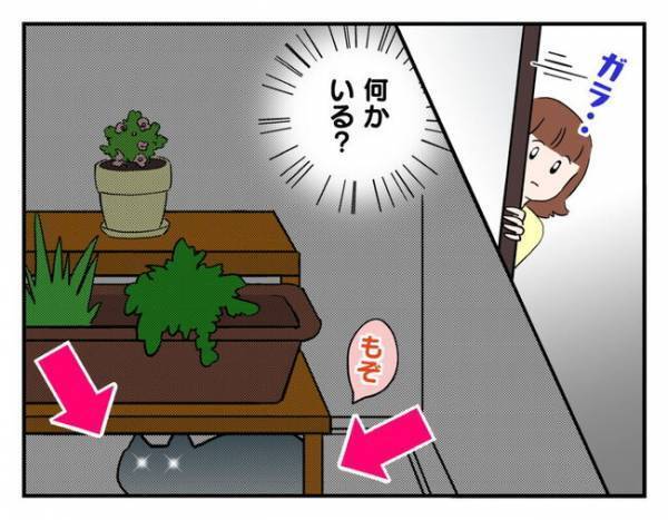 「物音がする…」窓の外に突然の来訪者！？変わり果てた姿にびっくり ＜猫を押し付けるママ友＞