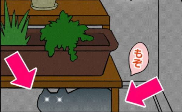 「物音がする…」窓の外に突然の来訪者！？変わり果てた姿にびっくり ＜猫を押し付けるママ友＞