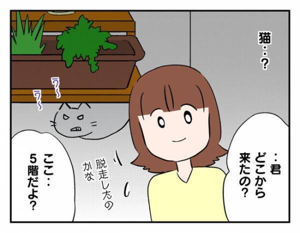 「物音がする…」窓の外に突然の来訪者！？変わり果てた姿にびっくり ＜猫を押し付けるママ友＞