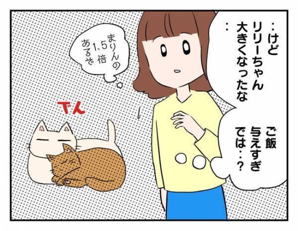 迷い猫はママ友の飼い猫だった！その姿を見て胸がざわついたワケとは… ＜猫を押し付けるママ友＞