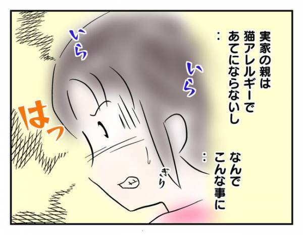 猫を飼ったのはあなたのせい！責任をなすりつけるママ友→引っ越すための決断＜猫を押し付けるママ友＞