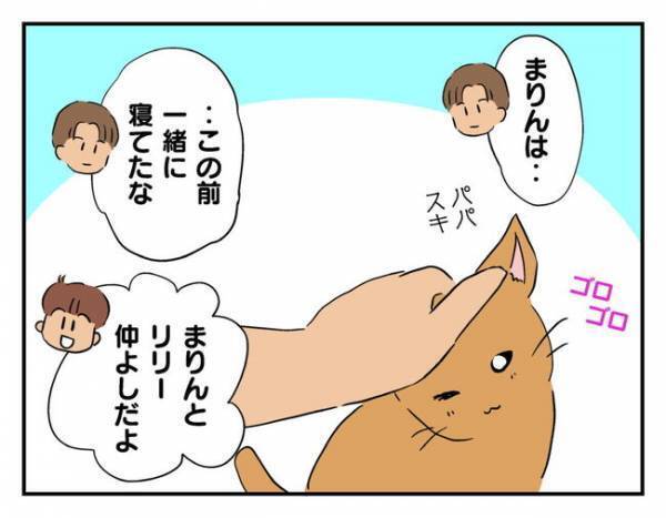 無責任なママ友の頼み、受け入れる？ 夫の下した決断「ただではおかない」 ＜猫を押し付けるママ友＞