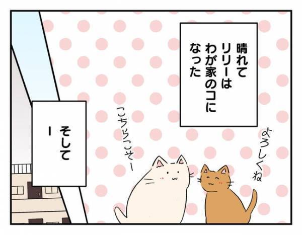 「ごめんね…」子どもたちの涙の決断にママ友は…＜猫を押し付けるママ友＞