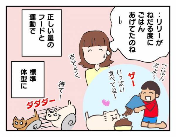 「ごめんね…」子どもたちの涙の決断にママ友は…＜猫を押し付けるママ友＞