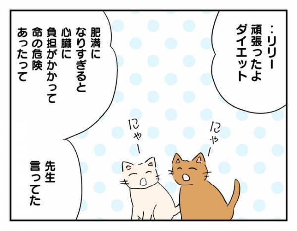 猫を手放したママ友「新しい家ペット可になったよ！」→子どもたちの反応は？＜猫を押し付けるママ友＞