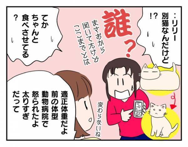 猫を手放したママ友「新しい家ペット可になったよ！」→子どもたちの反応は？＜猫を押し付けるママ友＞