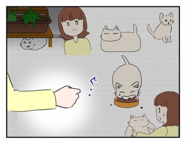 猫を手放すと決めた母「保健所に連れて行くよりいい」子どもたちの反応は…？＜猫を押し付けるママ友＞