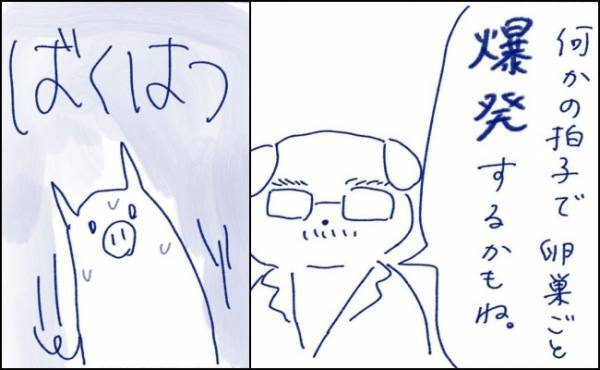 「爆発するかもね」ばくはつ！？婦人科で医師の口から飛び出したことは＜卵巣嚢腫手術レポ＞