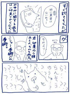 「爆発するかもね」ばくはつ！？婦人科で医師の口から飛び出したことは＜卵巣嚢腫手術レポ＞