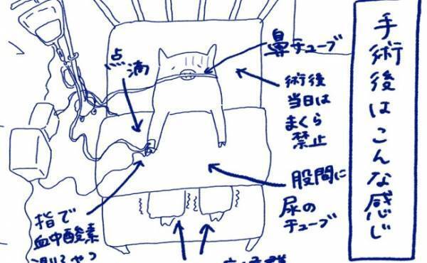 「しんどい…」術後の「一番つらい」時間って？＜卵巣嚢腫手術レポ＞