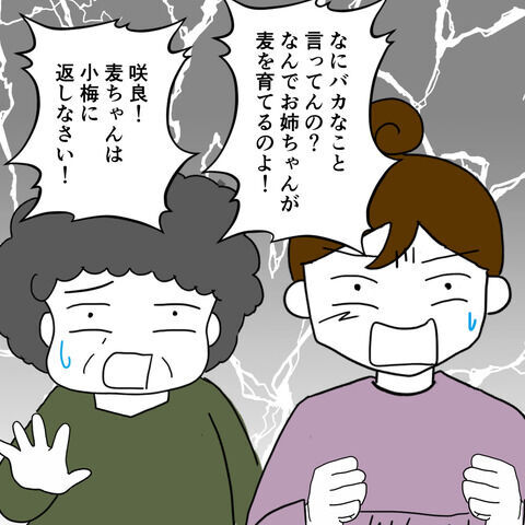 妹から夫を奪う姉「先に好きになったのは私！」2人の関係はいつから…！？＜家族なんていらない＞