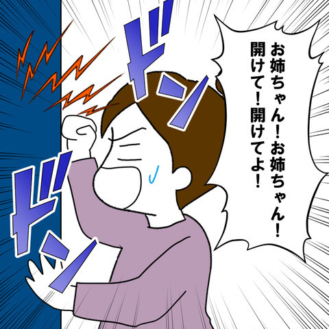 離婚すると決まっていないのに…夫と不倫をする姉が大暴走！！＜家族なんていらない＞