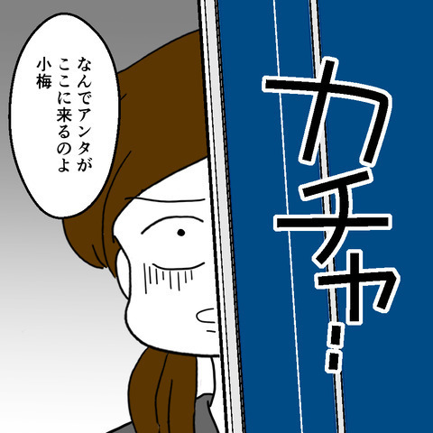離婚すると決まっていないのに…夫と不倫をする姉が大暴走！！＜家族なんていらない＞