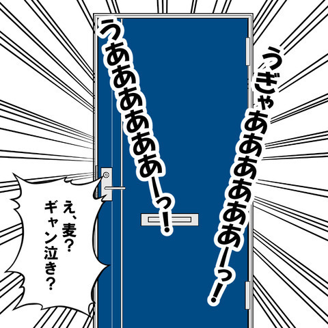 離婚すると決まっていないのに…夫と不倫をする姉が大暴走！！＜家族なんていらない＞