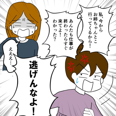 離婚すると決まっていないのに…夫と不倫をする姉が大暴走！！＜家族なんていらない＞