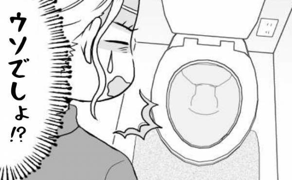 「ウソォ…！」義実家のトイレに「アレ」がない！⇒汚物の処理に困った結果！？
