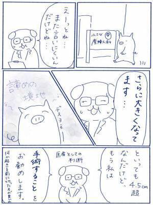 「言いにくいんだけど…」産後、医師から言われた言葉に思わず＜卵巣嚢腫手術レポ＞