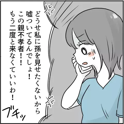 私「会いに行けなくなった」母「この親不孝者！」→疲れたので母と連絡を絶ってみた結果＜実母は毒親＞