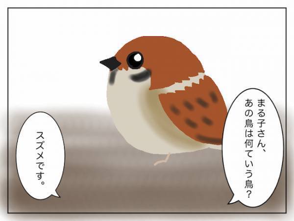 「野鳥を呼ぶのやめなさい」義母のめちゃくちゃな言い分にイライラが止まらない＜頑張り過ぎない介護＞