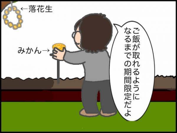 「野鳥を呼ぶのやめなさい」義母のめちゃくちゃな言い分にイライラが止まらない＜頑張り過ぎない介護＞