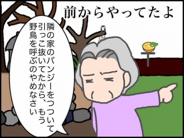 「野鳥を呼ぶのやめなさい」義母のめちゃくちゃな言い分にイライラが止まらない＜頑張り過ぎない介護＞