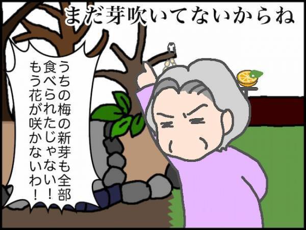 「野鳥を呼ぶのやめなさい」義母のめちゃくちゃな言い分にイライラが止まらない＜頑張り過ぎない介護＞