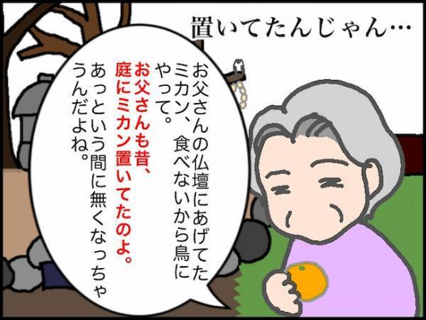 「野鳥を呼ぶのやめなさい」義母のめちゃくちゃな言い分にイライラが止まらない＜頑張り過ぎない介護＞
