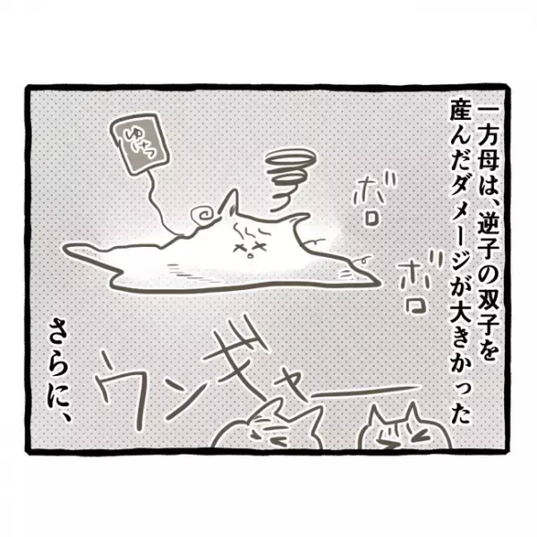 「お父さんいないのに…」父を亡くした双子の姉妹は、幼稚園の対応に困惑＜母子家庭で育った双子＞