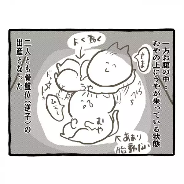 「お父さんいないのに…」父を亡くした双子の姉妹は、幼稚園の対応に困惑＜母子家庭で育った双子＞