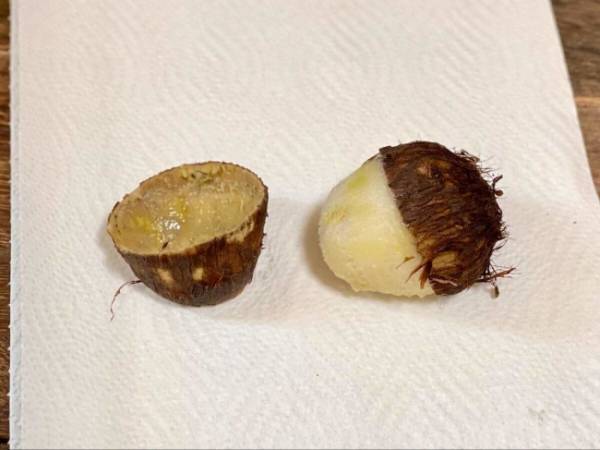 【里芋、まだ煮っころがしてない？】満足度◎「里芋のめちゃ美味しい食べ方」お酒すすむポテサラも！