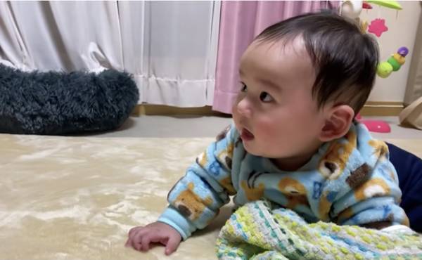 59万回再生！大好きなパパを見るとまさかの反応をしてしまう赤ちゃんの姿が「可愛すぎる」と話題！
