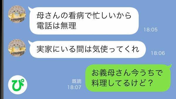 「母さんが倒れた…」夫が旅行をキャンセルして帰省→留守中にありえない訪問者がやってきた結果