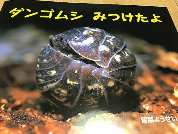 「夏に楽しめる絵本」保育園で子どもたちに大人気の作品4選♪【現役保育士がおすすめ】