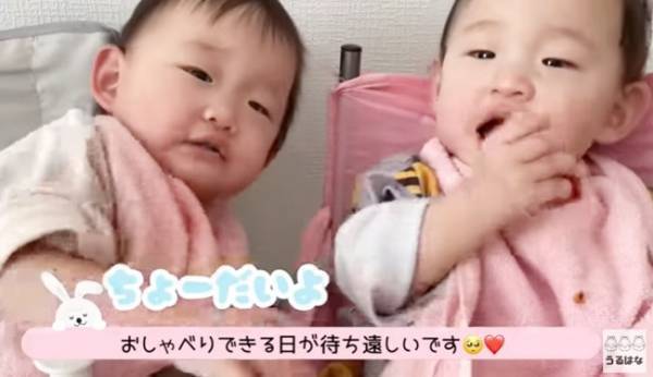 【3つ子ちゃん】離乳食どうしてる？初めての離乳食に密着！⇒それから5カ月後、まさかの争奪戦に！？