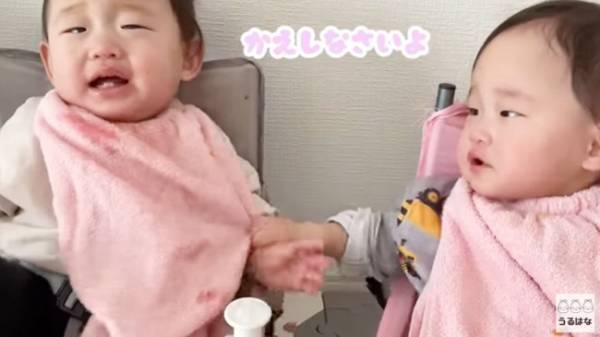 【3つ子ちゃん】離乳食どうしてる？初めての離乳食に密着！⇒それから5カ月後、まさかの争奪戦に！？