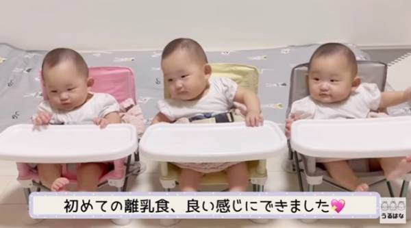 【3つ子ちゃん】離乳食どうしてる？初めての離乳食に密着！⇒それから5カ月後、まさかの争奪戦に！？