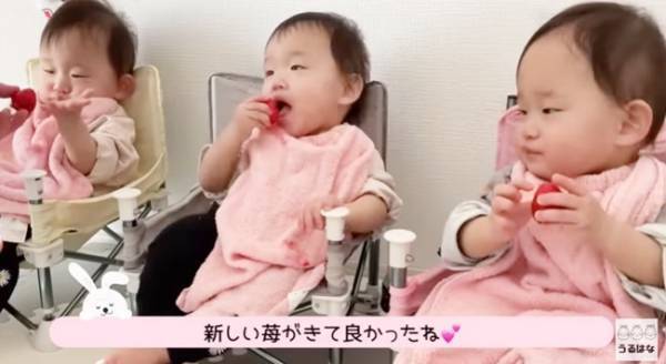 【3つ子ちゃん】離乳食どうしてる？初めての離乳食に密着！⇒それから5カ月後、まさかの争奪戦に！？
