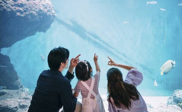 「私のパパになるってこと？」娘に再婚を伝えたときの反応は！？バツイチ子連れ再婚へ、4年半の道のり