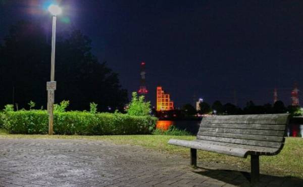 「危険だから帰りましょう」寝ない息子を背負って真夜中の公園へ…。そこで出会った意外な人物とは？