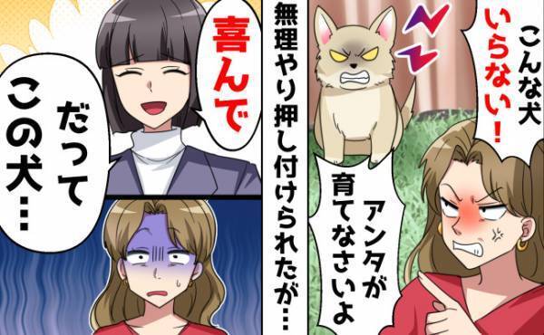 私に対抗しチワワを飼った義妹「懐かない犬はいらない！アンタが育てて！」喜んで引き取ったワケは？