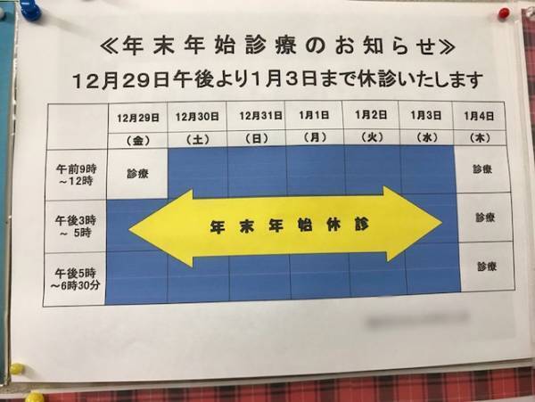 母の記憶障害の症状がひどくなっても、本人の意思を無視しては何もできず ＜母の認知症介護日記＞