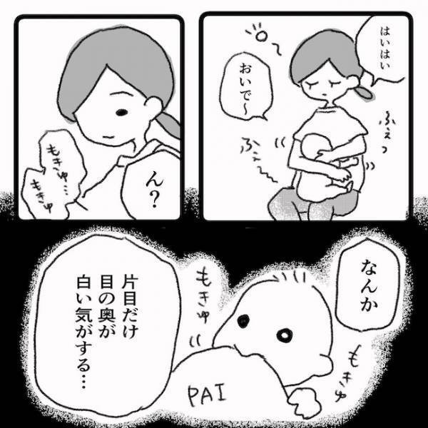 「目の奥に見えるコレ、何？」息子の目に異常が！？ママが見たものは…＜息子の目に障がい＞