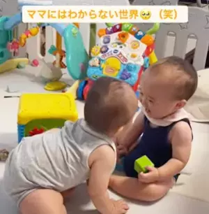 「ママにはわからない世界！？」16万回再生！双子ベビーが向かい合って、ゲラゲラがもう止まらない♡