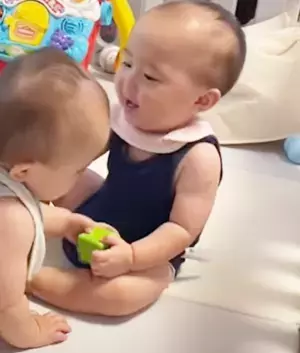 「ママにはわからない世界！？」16万回再生！双子ベビーが向かい合って、ゲラゲラがもう止まらない♡